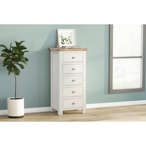Farnworth Painted 5 Drawer Tall Chest