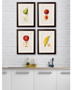 C1886 Studies of Fruit Set - 4 Prints