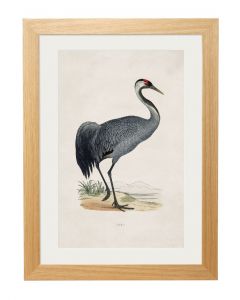 C1850 Crane