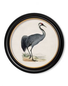 C1850 Crane in Round Frame