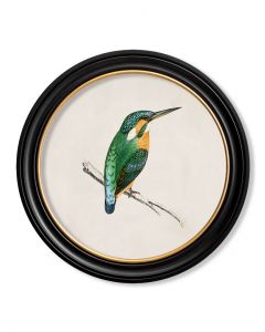 KIngfisher in Round Frame