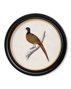 C1850 Pheasant in Round Frame