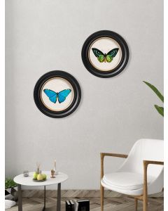 Tropical Butterfly Set - 2 Prints