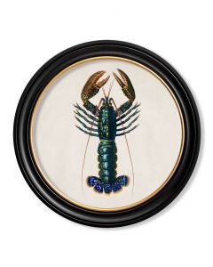C1876 Crayfish in Round Frame