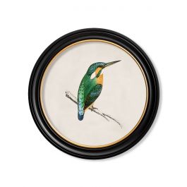 KIngfisher in Round Frame